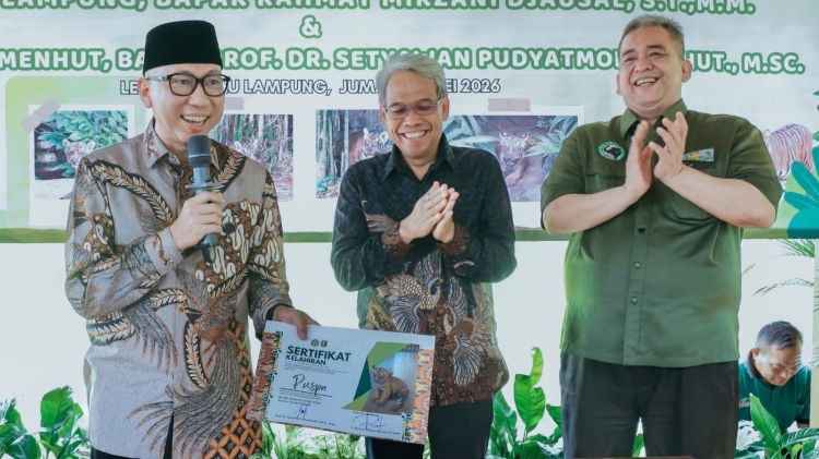 Lahir dari Induk Berkaki Tiga, Dua Anak Harimau Sumatera Bawa Harapan Baru di Lampung