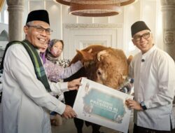 Presiden Prabowo Sumbang 16 Sapi Kurban untuk Lampung, Terbesar Berbobot 1,15 Ton