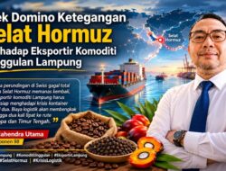 Efek Domino Ketegangan Selat Hormuz Terhadap Eksportir Komoditi Unggulan Lampung
