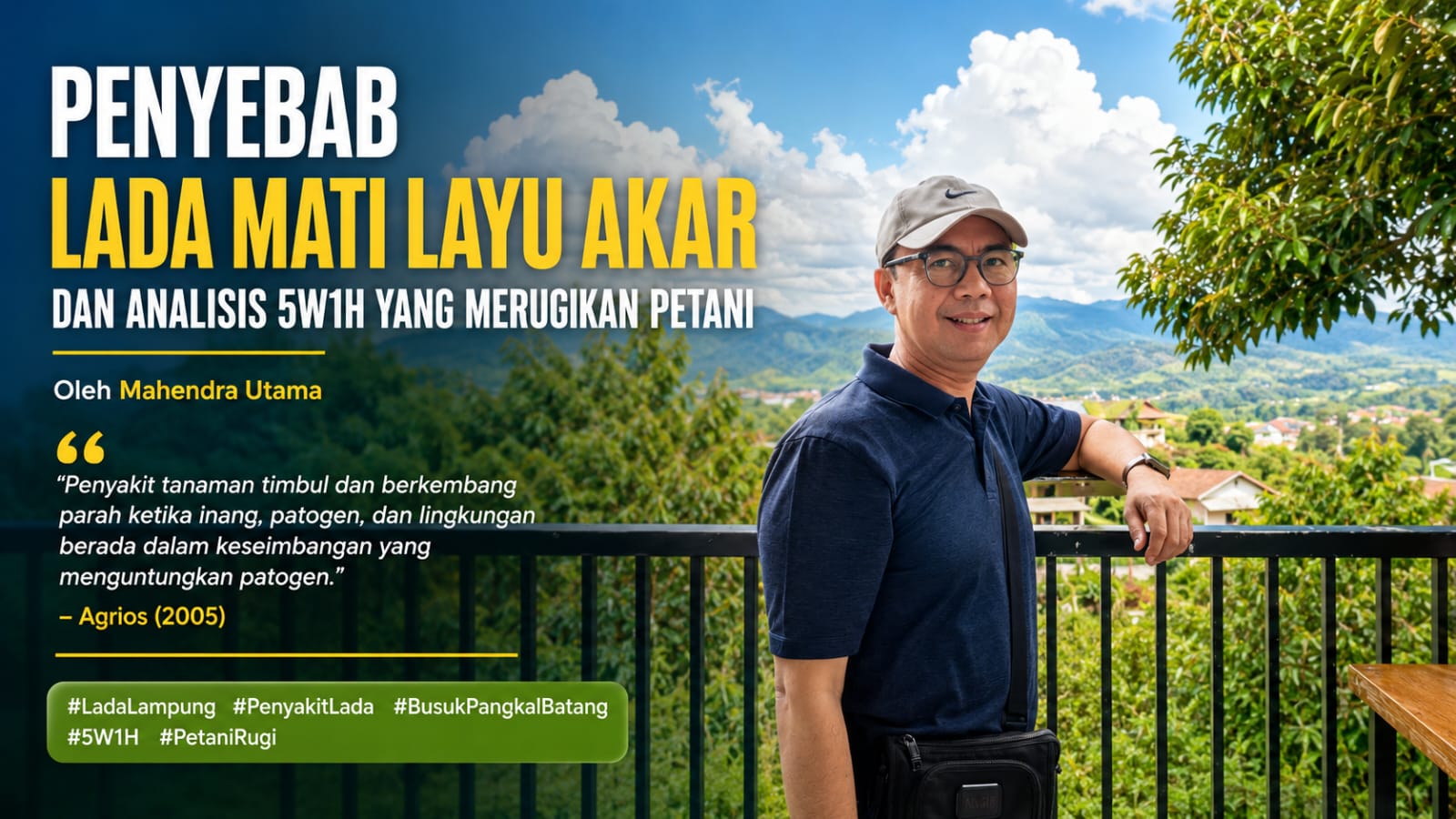 Penyebab Lada Mati Layu Akar dan Analisis 5W1H yang Merugikan Petani