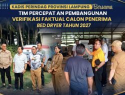Verifikasi Lapangan Bed Dryer 2027 di Mesuji: Wujud Nyata Hilirisasi Pertanian Lampung