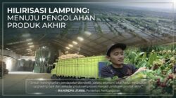 Strategi Hilirisasi Berbasis Wilayah di 11 Kabupaten Ekspor Lampung