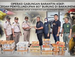 Disembunyikan di Sasis Truk Paket, Penyelundupan 807 Burung Ilegal Kandas di Bakauheni