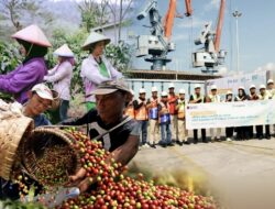 Dolar AS Menggila, BI: Berkah Tersembunyi bagi Ekspor Kopi dan Kakao Lampung