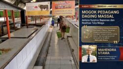 Antara Surplus Sapi dan Harga Daging yang Tak Terbendung