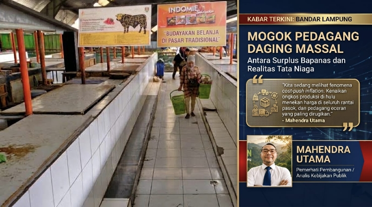 Antara Surplus Sapi dan Harga Daging yang Tak Terbendung