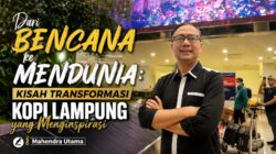 Dari Bencana ke Mendunia: Kisah Transformasi Kopi Lampung yang Menginspirasi