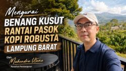 Mengurai Benang Kusut Rantai Pasok Kopi Robusta Lampung Barat