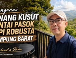 Mengurai Benang Kusut Rantai Pasok Kopi Robusta Lampung Barat