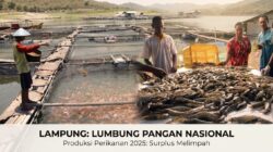 Swasembada Ikan Lampung: Melampaui Kebutuhan dengan 181 Ribu Ton di 2025