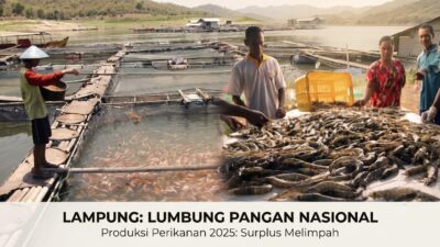 Swasembada Ikan Lampung: Melampaui Kebutuhan dengan 181 Ribu Ton di 2025