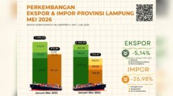 Tak Lagi Cuma Mengandalkan Tani, Industri Pengolahan Kini Jadi Mesin Pencetak Dolar Utama Lampung