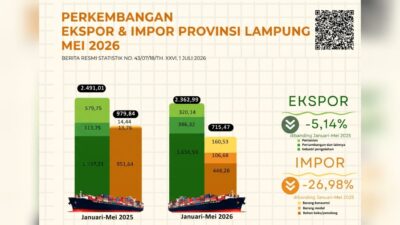 Tak Lagi Cuma Mengandalkan Tani, Industri Pengolahan Kini Jadi Mesin Pencetak Dolar Utama Lampung
