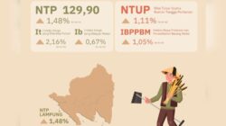 Tertolong Tingginya Permintaan Pabrik Tapioka, NTP Lampung Sukses Tembus Angka 129,90 di Juni 2026