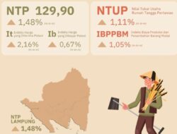Tertolong Tingginya Permintaan Pabrik Tapioka, NTP Lampung Sukses Tembus Angka 129,90 di Juni 2026