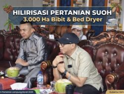 Program Pertanian Lampung 2026: 3.000 Hektar Bibit dan Bed Dryer untuk Petani Suoh
