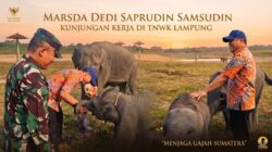 Kawal Arahan Prabowo, Marsda Dedi: Jangan Sampai Gajah Way Kambas Jadi Mitos!
