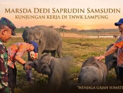 Kawal Arahan Prabowo, Marsda Dedi: Jangan Sampai Gajah Way Kambas Jadi Mitos!