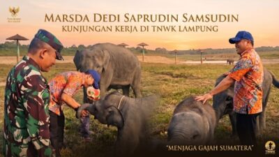 Kawal Arahan Prabowo, Marsda Dedi: Jangan Sampai Gajah Way Kambas Jadi Mitos!