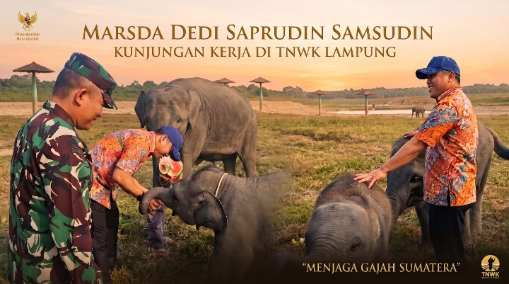 Kawal Arahan Prabowo, Marsda Dedi: Jangan Sampai Gajah Way Kambas Jadi Mitos!