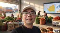 5 Kabupaten Penyangga Cabai Lampung, Dari Lumbung Pangan hingga Ekspor Global