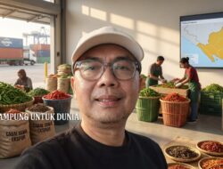 5 Kabupaten Penyangga Cabai Lampung, Dari Lumbung Pangan hingga Ekspor Global