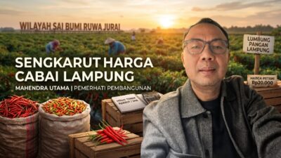 Fluktuasi Harga dan Kesejahteraan Petani Cabai Lampung