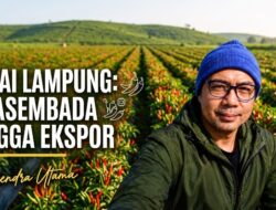 Gerakan Tanam Cabai dan Masa Depan Pertanian Lampung