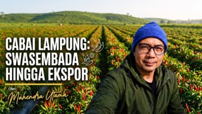 Gerakan Tanam Cabai dan Masa Depan Pertanian Lampung