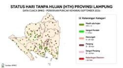 Lampung Masuk Fase Kritis Kemarau Panjang di September 2026