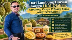 Dari Lumbung Durian hingga IKM Olahan, Lampung Punya Peluang Emas yang Terabaikan