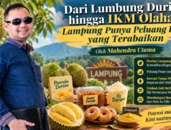 Dari Lumbung Durian hingga IKM Olahan, Lampung Punya Peluang Emas yang Terabaikan