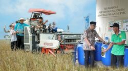 Dari 5,2 Jadi 11,4 Ton per Hektare, Ini Rahasia Sukses Pertanian Modern Lampung Tengah