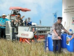 Dari 5,2 Jadi 11,4 Ton per Hektare, Ini Rahasia Sukses Pertanian Modern Lampung Tengah