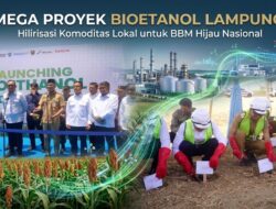 Bibitnya Diakui Jepang, Duet Pertamina dan Toyota Sulap Panen Petani Lampung Jadi BBM Nasional