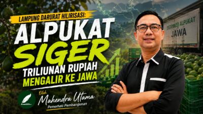 Lampung Darurat Hilirisasi: Alpukat Siger Triliunan Rupiah Mengalir ke Jawa