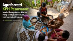 Agroforestri KPH Pesawaran: Model Pengelolaan Hutan yang Menyejahterakan Ekonomi dan Ekologi