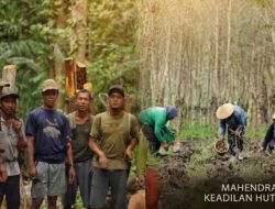 Perhutanan Sosial Pulau Jawa Berkeadilan untuk Rakyat