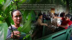 Saat Hutan Menjadi Harapan: IAD dan KUPS Enterprise KPH Pesawaran
