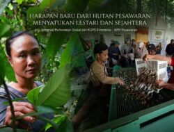 Saat Hutan Menjadi Harapan: IAD dan KUPS Enterprise KPH Pesawaran