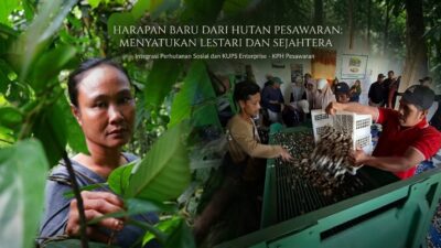 Saat Hutan Menjadi Harapan: IAD dan KUPS Enterprise KPH Pesawaran