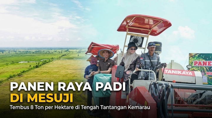 Panen Raya 8 Ton/Hektare di Mesuji: Bukti Ketahanan Pangan di Tengah Kemarau