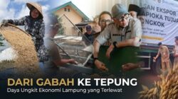 Dari Gabah ke Tepung, Daya Ungkit Ekonomi Lampung yang Terlewat