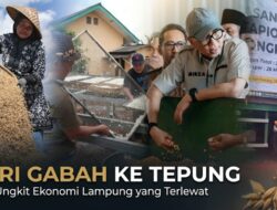 Dari Gabah ke Tepung, Daya Ungkit Ekonomi Lampung yang Terlewat