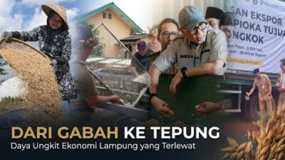 Dari Gabah ke Tepung, Daya Ungkit Ekonomi Lampung yang Terlewat