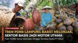 Tren PDRB Lampung Barat Melonjak, Sektor Basis Jadi Motor Utama