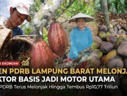 Tren PDRB Lampung Barat Melonjak, Sektor Basis Jadi Motor Utama
