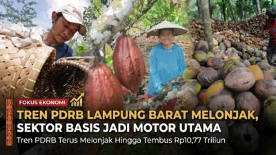 Tren PDRB Lampung Barat Melonjak, Sektor Basis Jadi Motor Utama