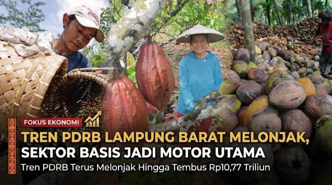 Tren PDRB Lampung Barat Melonjak, Sektor Basis Jadi Motor Utama