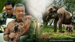 Kabar Baik untuk Lampung, Menkeu Suahasil Siapkan Anggaran Khusus Pengembangan Way Kambas